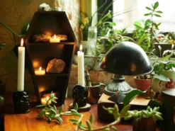 SOURPUSS COFFIN SHELF BLACK 14 SOURPUSS COFFIN SHELF BLACK