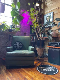 SOURPUSS FURRY SPIDERWEB PILLOW