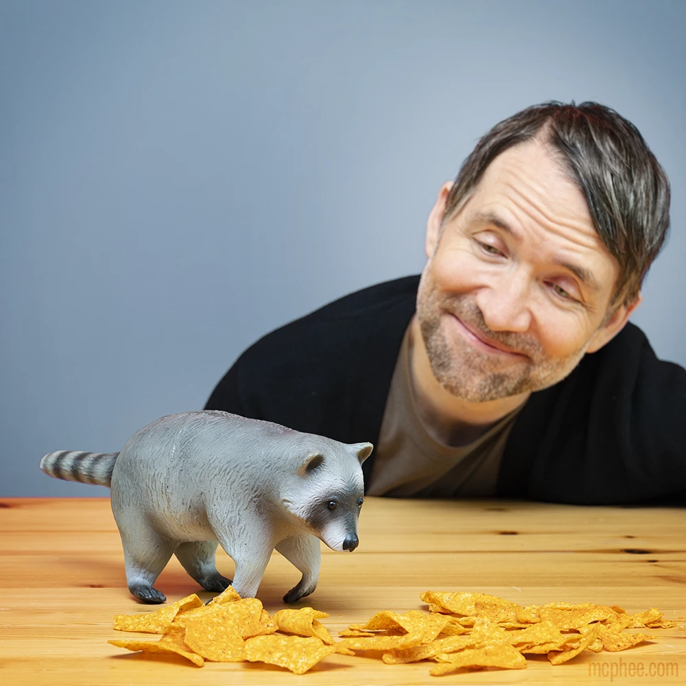 None BABY RACCOON BUDDY Lifestyle 4 None BABY RACCOON BUDDY Lifestyle