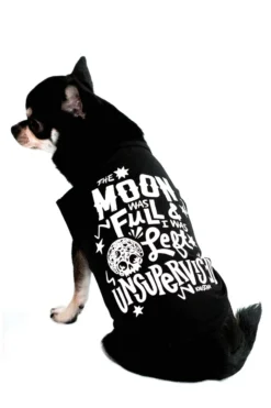 KILLSTAR FULL MOON PET SHIRT Lifestyle