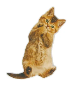 None Lifestyle HUG ME BROWN TABBY KITTEN NAIL FILE