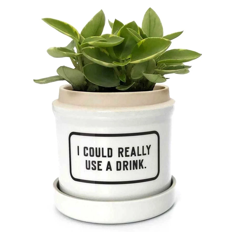 None I COULD REALLY USE A DRINK CERAMIC PLANTER Homewares