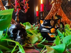 SOURPUSS ANATOMICAL SKULL CANDLE BLACK