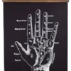 Homewares CURIOUS PRINTS VINTAGE PALMISTRY CHART CANVAS WALL HANGING PRINT