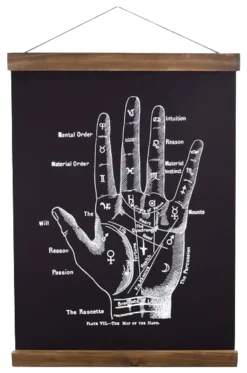 Homewares CURIOUS PRINTS VINTAGE PALMISTRY CHART CANVAS WALL HANGING PRINT