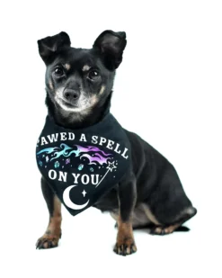 ROGUE + WOLF I PAWED A SPELL ON YOU PET BANDANA
