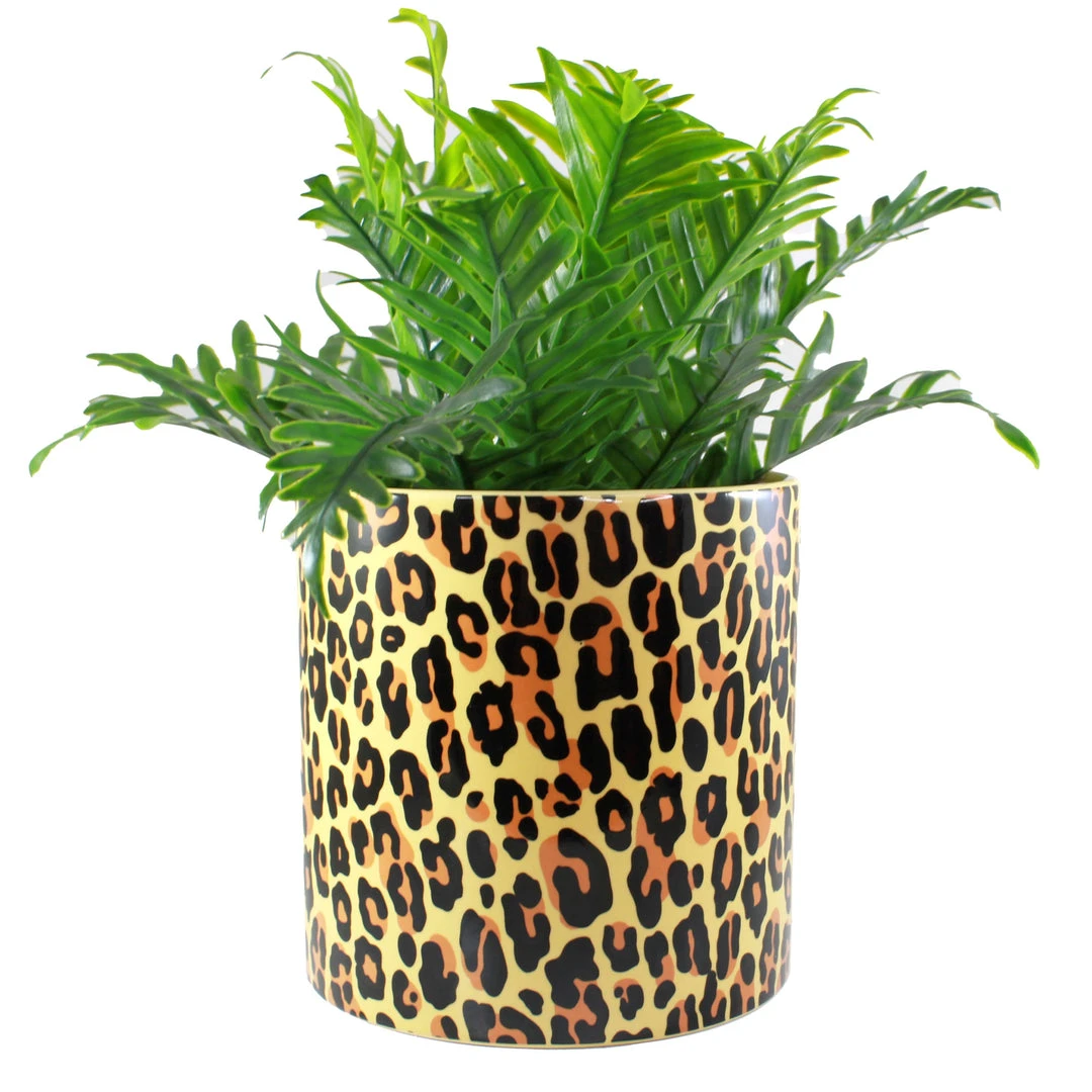 SOURPUSS LEOPARD PLANT CONTAINER Haunted Homewares 3 SOURPUSS LEOPARD PLANT CONTAINER Haunted Homewares