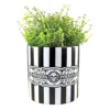 SOURPUSS POISON PLANT CONTAINER