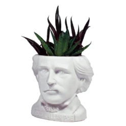 None EDGAR ALLAN POE PLANTER Back In Stock