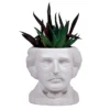 None EDGAR ALLAN POE PLANTER Back In Stock