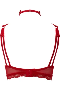 KILLSTAR SHE BITES LACE BRA RED