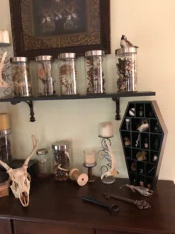 SOURPUSS COFFIN CURIO SHELF 15 SOURPUSS COFFIN CURIO SHELF