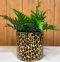 SOURPUSS LEOPARD PLANT CONTAINER Haunted Homewares