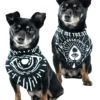 ROGUE + WOLF GIVE ME TREATOS OUIJA PET BANDANA Lifestyle