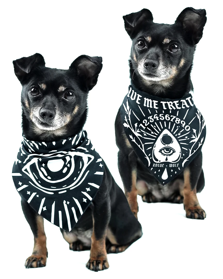 ROGUE + WOLF GIVE ME TREATOS OUIJA PET BANDANA Lifestyle 3 ROGUE + WOLF GIVE ME TREATOS OUIJA PET BANDANA Lifestyle