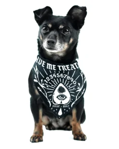 ROGUE + WOLF GIVE ME TREATOS OUIJA PET BANDANA Lifestyle