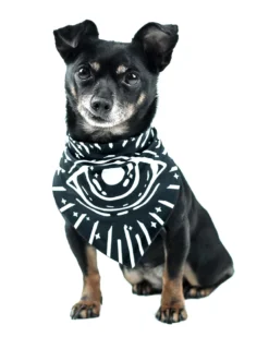 ROGUE + WOLF GIVE ME TREATOS OUIJA PET BANDANA Lifestyle 10 ROGUE + WOLF GIVE ME TREATOS OUIJA PET BANDANA Lifestyle