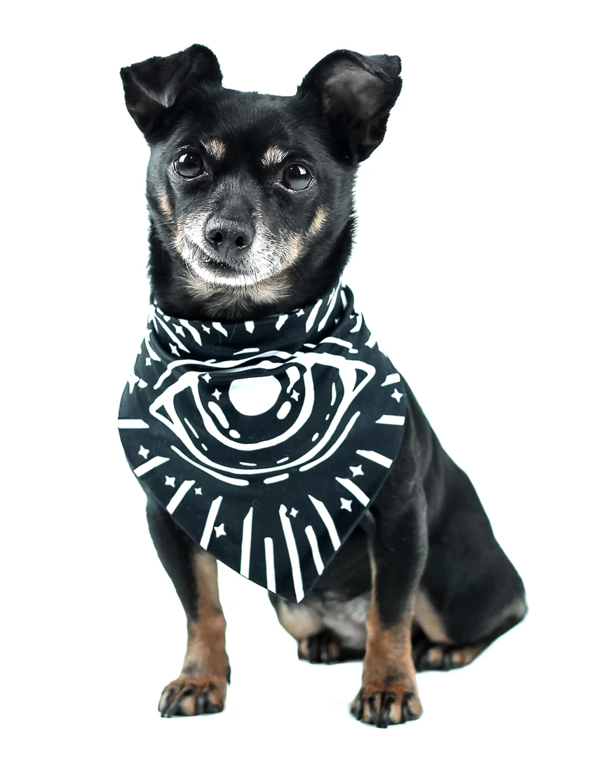 ROGUE + WOLF GIVE ME TREATOS OUIJA PET BANDANA Lifestyle 5 ROGUE + WOLF GIVE ME TREATOS OUIJA PET BANDANA Lifestyle