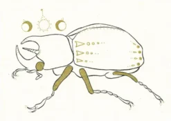 Bees Knees Industries Homewares BEE'S KNEES INDUSTRIES FANTASTICAL UNICORN BEETLE ART MINI PRINT