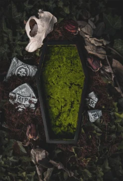 What's New LIVELY GHOSTS VELVET COFFIN TRINKET TRAY GREEN
