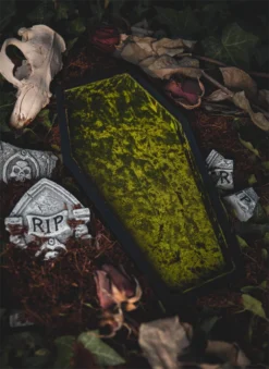 What's New LIVELY GHOSTS VELVET COFFIN TRINKET TRAY GREEN