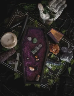 What's New LIVELY GHOSTS VELVET COFFIN TRINKET TRAY PURPLE