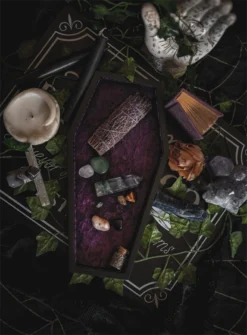 What's New LIVELY GHOSTS VELVET COFFIN TRINKET TRAY PURPLE