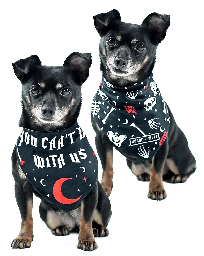 ROGUE + WOLF YOU CAN'T DIG WITH US PET BANDANA 3 ROGUE + WOLF YOU CAN'T DIG WITH US PET BANDANA