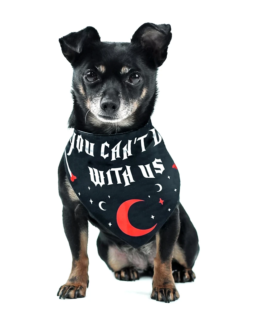 ROGUE + WOLF YOU CAN'T DIG WITH US PET BANDANA 4 ROGUE + WOLF YOU CAN'T DIG WITH US PET BANDANA