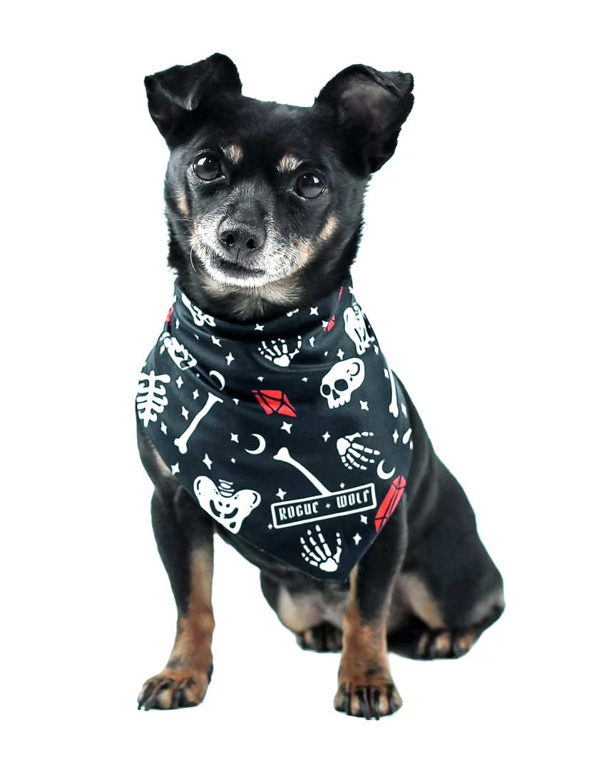 ROGUE + WOLF YOU CAN'T DIG WITH US PET BANDANA 5 ROGUE + WOLF YOU CAN'T DIG WITH US PET BANDANA